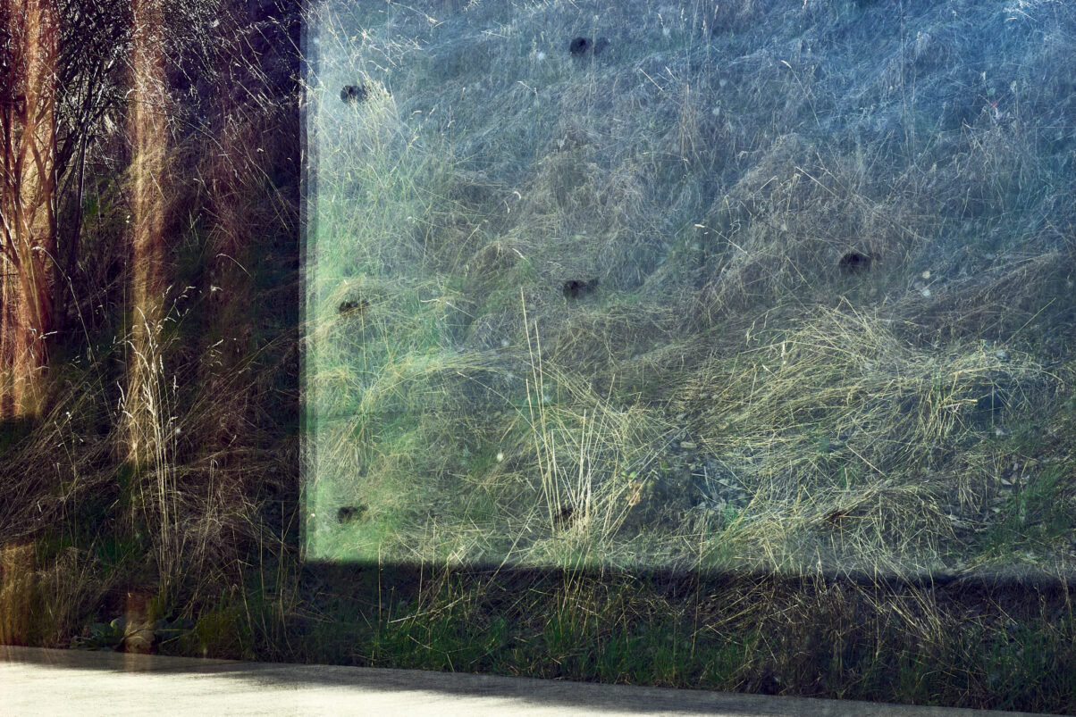 Spiegelung mit Betonwand Gräsern und dem Blau des Himmels, Querformat