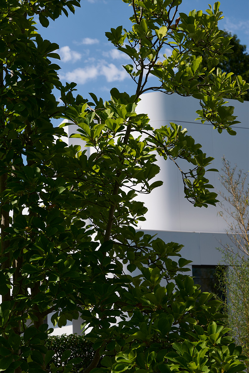 Architektur- und Interieurfotografie Düsseldorf MH Project, rundes Fassaden- und Fensterdetail, Pflanzen, Himmel